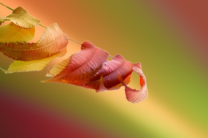 Radiance from Within: Embracing Your True Self Beyond Skin Deep