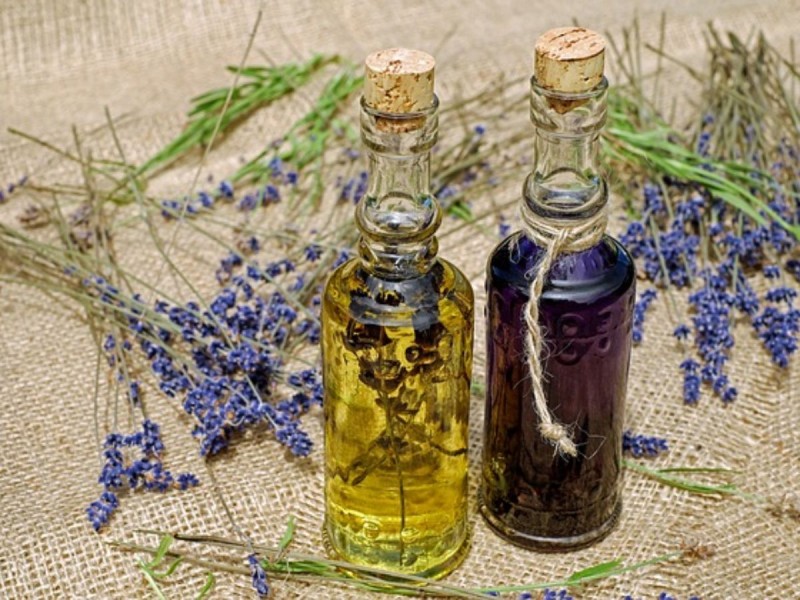 Everyday Health & Vitality: Embracing Wellness in Every Moment