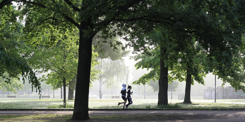 Fitness on a Budget: DIY Equipment, Park Workouts, and Thrifted Activewear Hacks