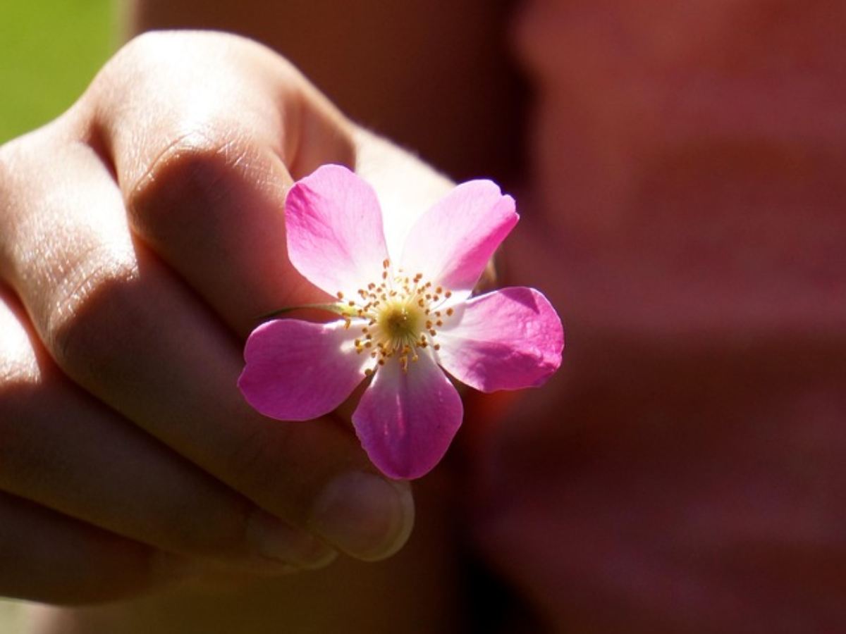 Authentic Beauty: Celebrating You Inside and Out