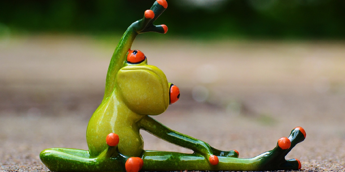 Fitness for Introverts: Quiet Workouts, Solo Adventures, and Home Sanctuary Gyms