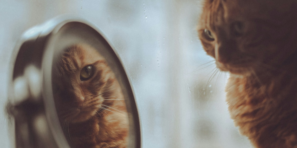 Mirror Talk, Nepali Style: 7 Self-Love Affirmations Rooted in Buddhist & Hindu Philosophy